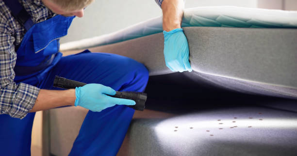 Best Termite Control Services  in Austin, AR