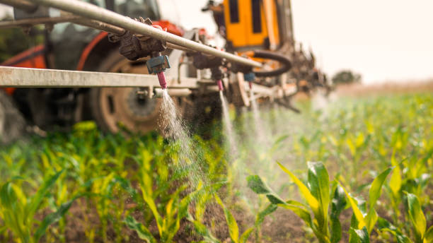 Best Mosquito Control Services  in Austin, AR